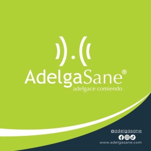 Logo de AdelgaSane